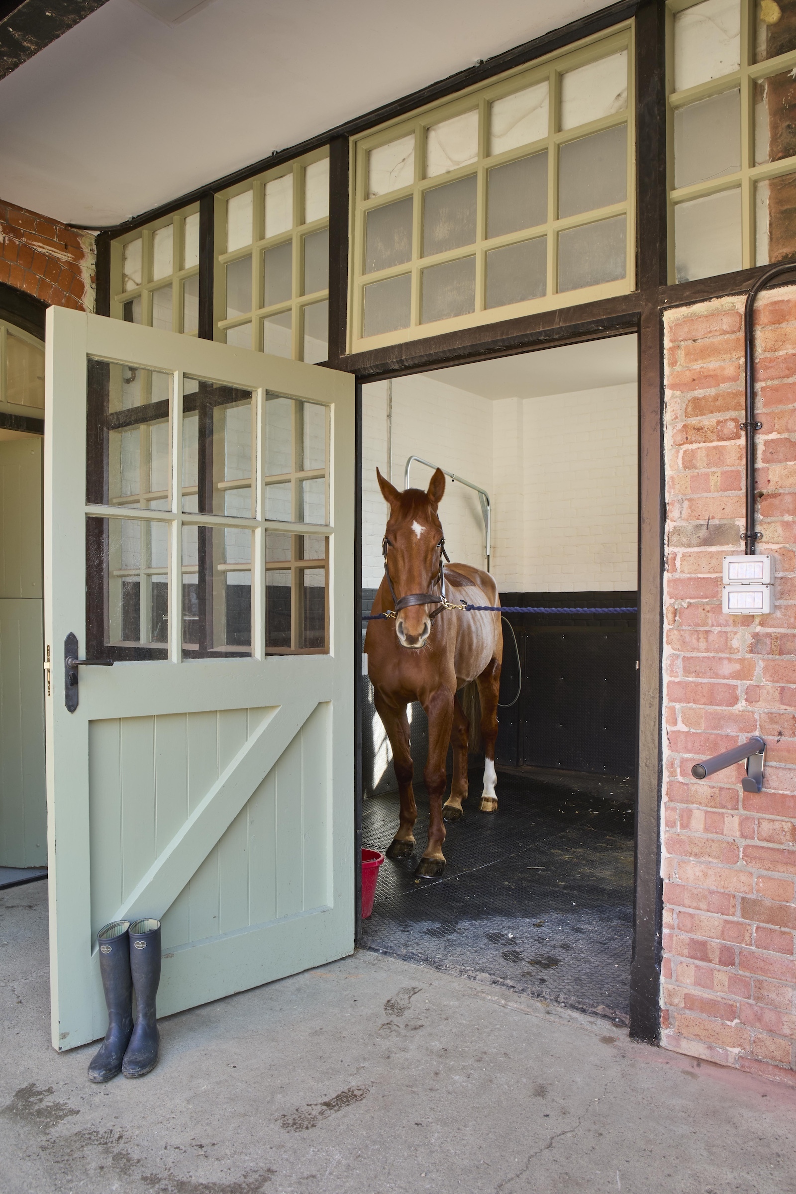 CLAYDON STABLES 040 lo res