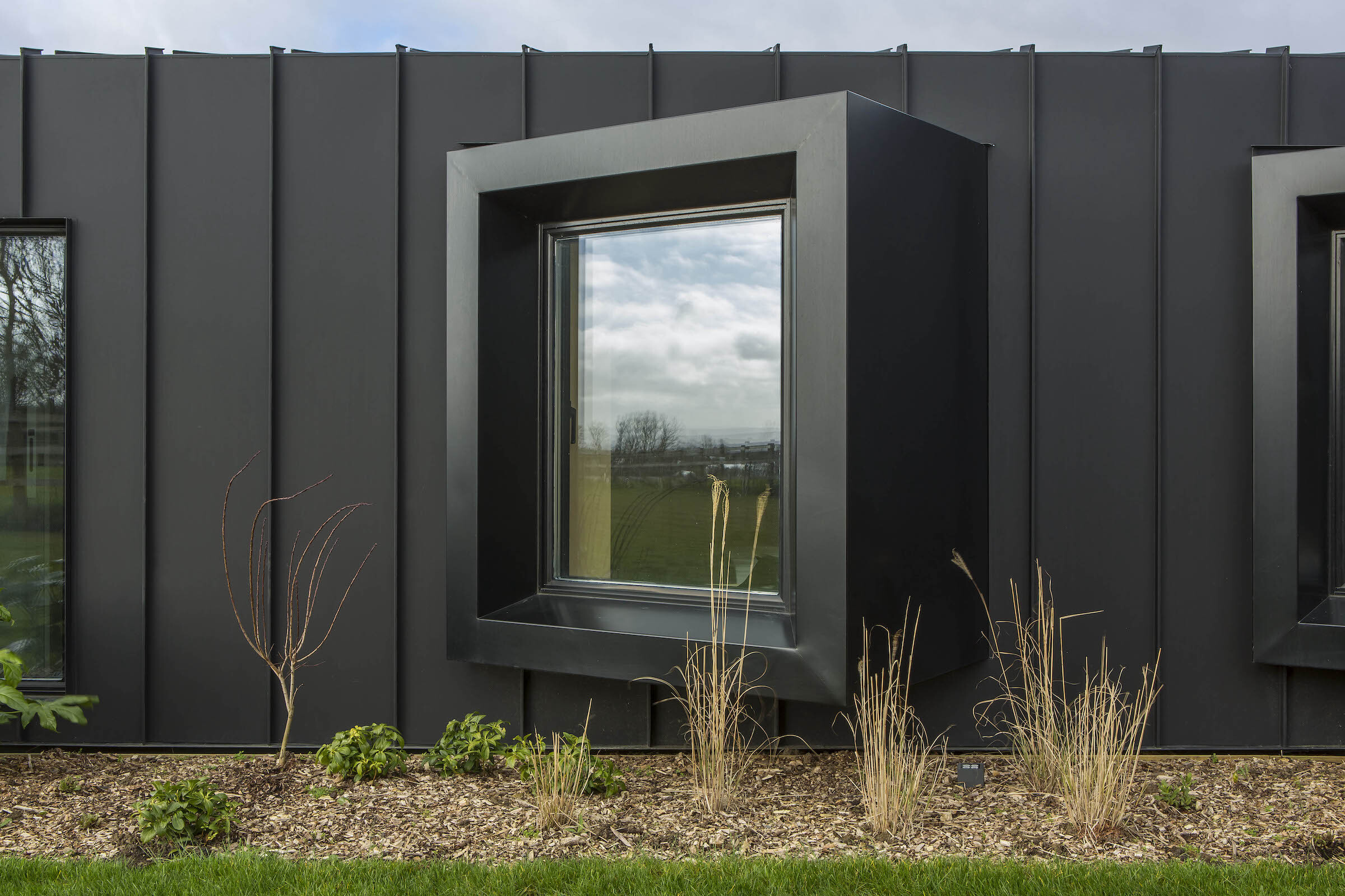 TREE PLANTING 0181 lo res