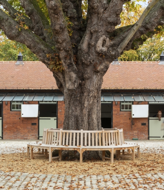 Claydon Stables 02 0166 edited lo res