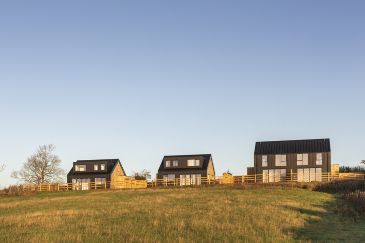 EAST MEADOW HOUSES 9479 copy