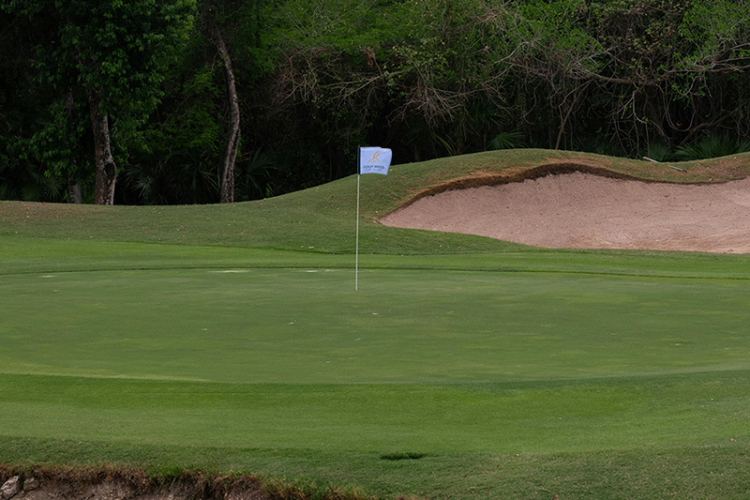 Studley wood courses page