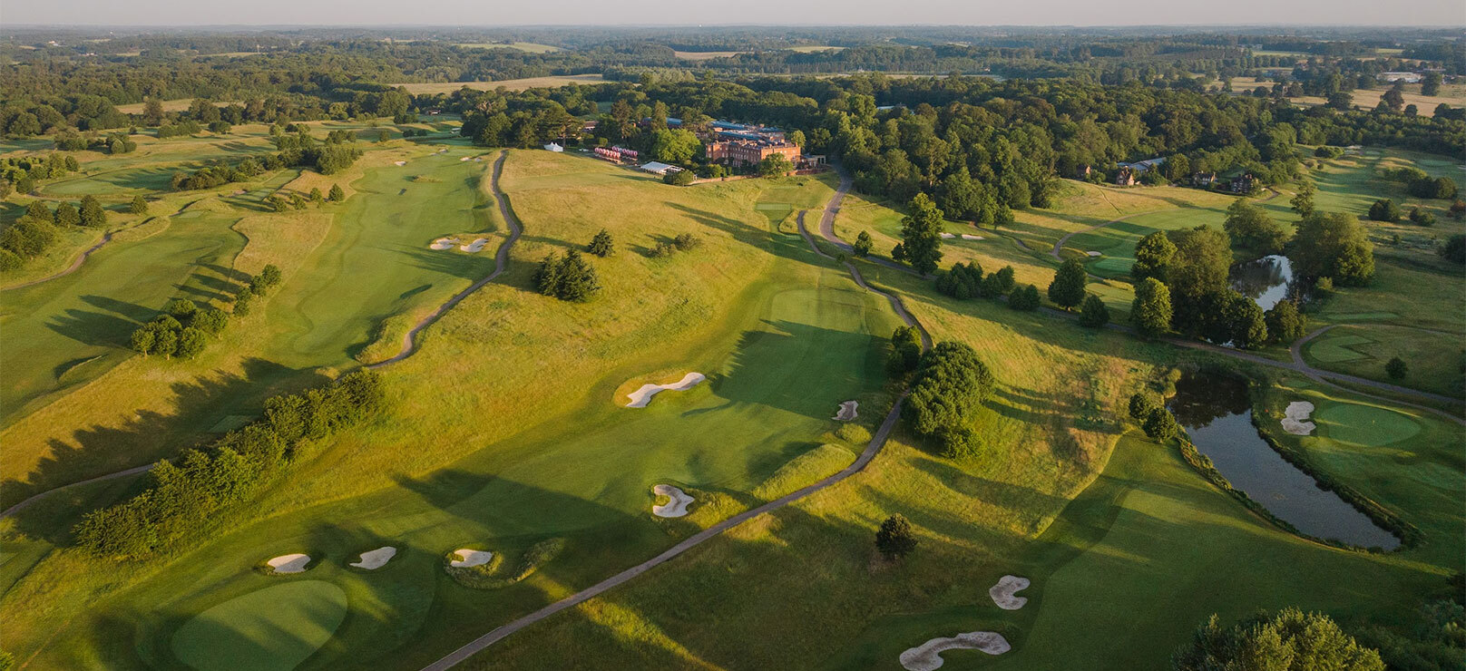 The grove banner new